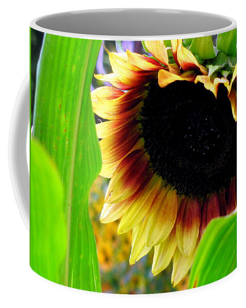 Sun Flower Coffee Mug featuring the photograph Shy by Deborah Crew-Johnson