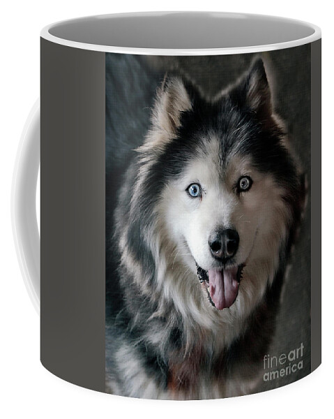Siberian Husky Coffee Mug featuring the photograph Siberian Husky by Daliana Pacuraru