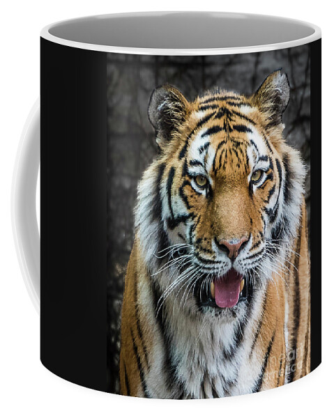 Siberian Tiger Coffee Mug featuring the photograph Siberian Tiger Smile by Joann Long