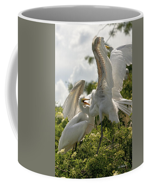 Bird Coffee Mug featuring the photograph Sibling Squabble by Christopher Holmes