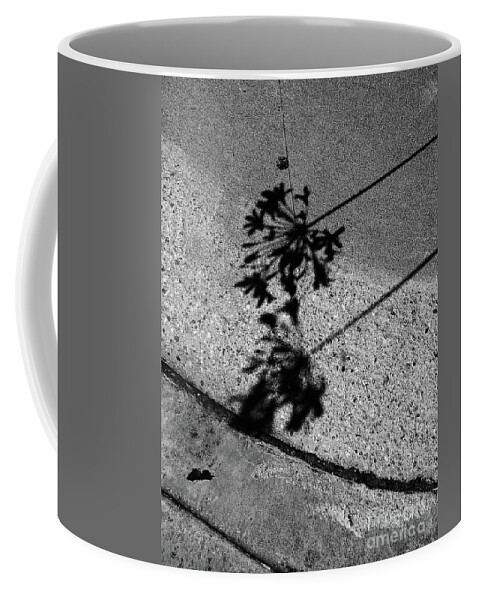 Abstract Coffee Mug featuring the photograph Side By Side by Fei A
