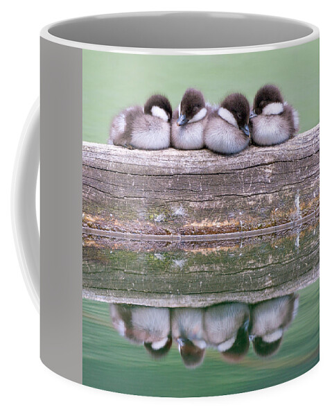 Yellowstone National Park Coffee Mug featuring the photograph Siesta by Max Waugh