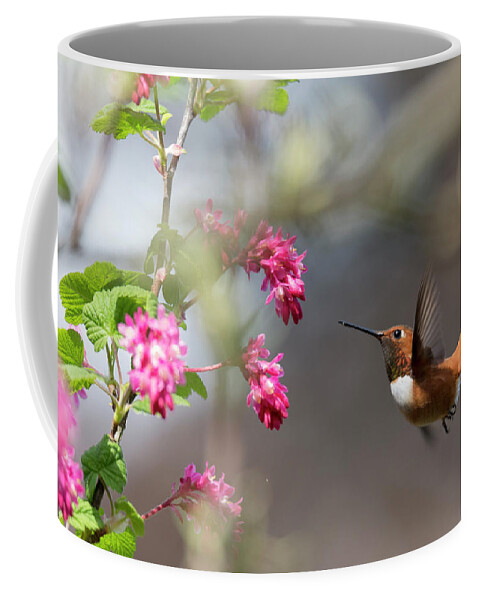 Rufous Hummingbird Coffee Mug featuring the photograph Sign Of Spring 3 by Randy Hall