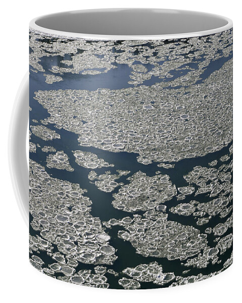 Nature Coffee Mug featuring the photograph Signs of Winter by Rhonda McDougall