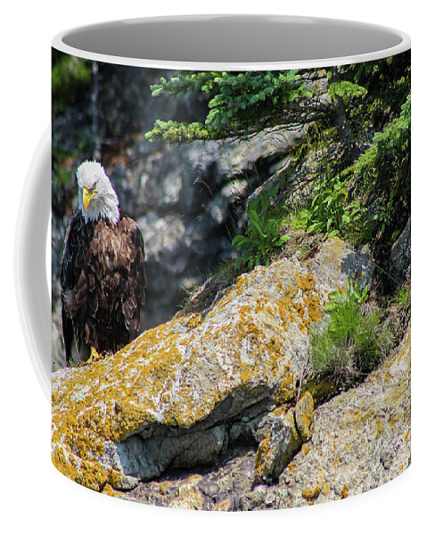 Bald Eagle Coffee Mug featuring the photograph Silence by Holly Ross