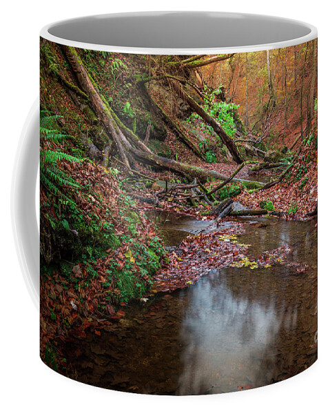 Autumn Coffee Mug featuring the photograph Silent Glowing Fall by Hannes Cmarits