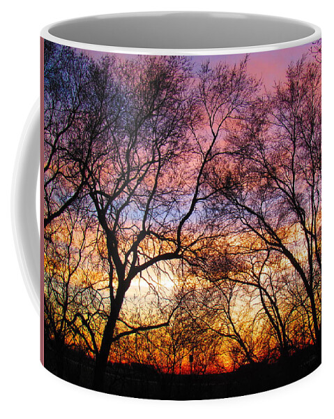 Photograph Coffee Mug featuring the photograph Silhouette Sunset 43017 by Delynn Addams