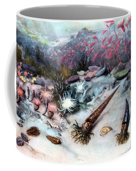Prehistory Coffee Mug featuring the photograph Silurian Seascape by Science Source