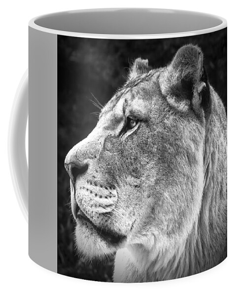 Silver Coffee Mug featuring the photograph Silver Lioness - SquareFormat by Chris Boulton