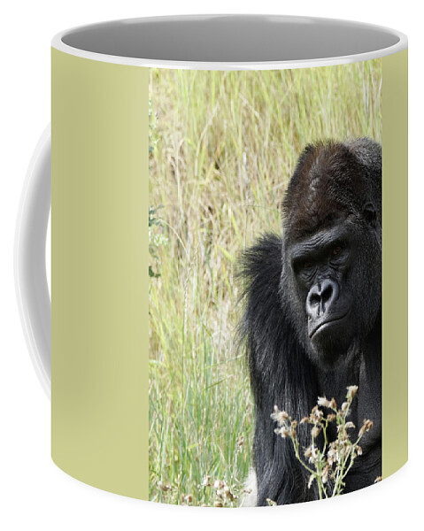Animals Coffee Mug featuring the photograph Silverback Gorilla 9 by Ernest Echols