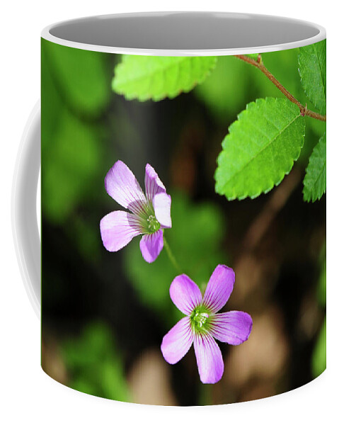 Flower Coffee Mug featuring the photograph Simple Beauty II by Stephen Anderson