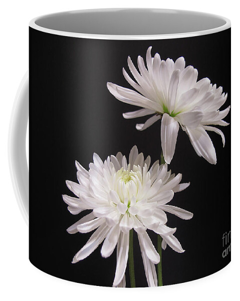 Wall Art Coffee Mug featuring the photograph Simple Beauty by Kelly Holm