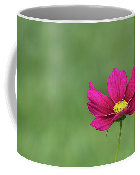 Flower Coffee Mug featuring the photograph Simplicity by Andrea Silies