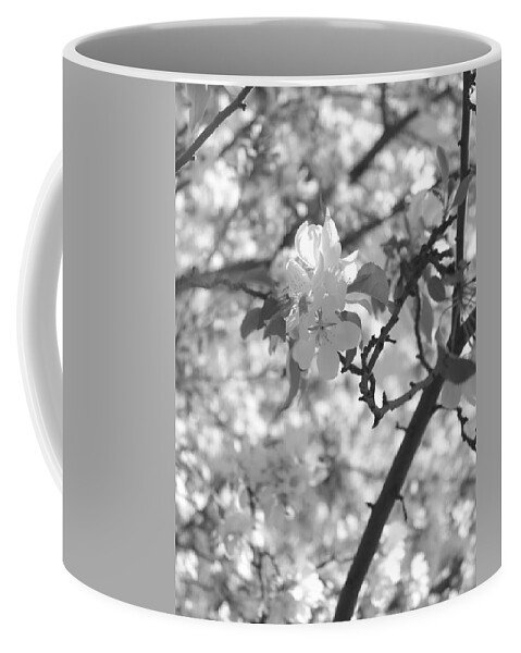 Monochrome Coffee Mug featuring the photograph Simplicity by Jessica Myscofski