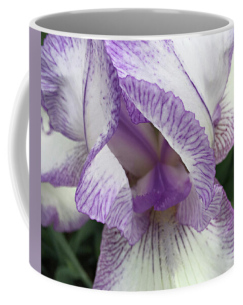 Iris Coffee Mug featuring the photograph Simply Beautiful by Sherry Hallemeier