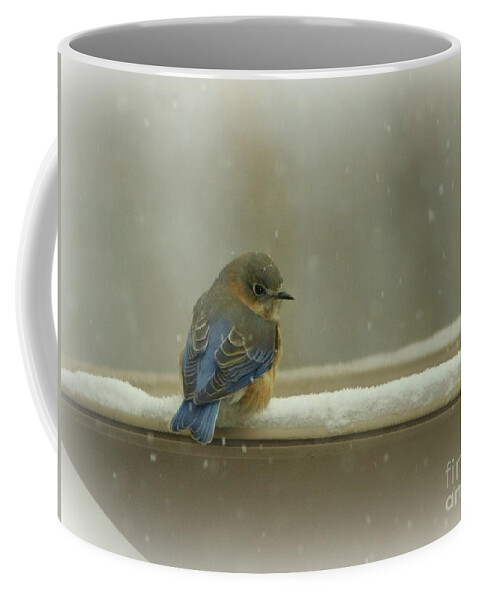  Coffee Mug featuring the photograph Simply Blue by Barbara S Nickerson