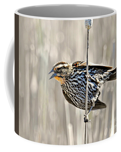 Singing In The Breeze Coffee Mug featuring the photograph Singing In The Breeze by Kathy M Krause