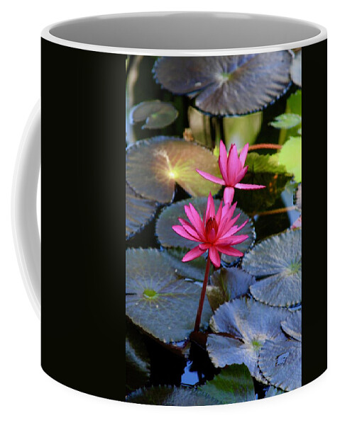 Mckee Botanical Garden Coffee Mug featuring the photograph Singing Pink Lotus Blooms at McKee Garden by M E
