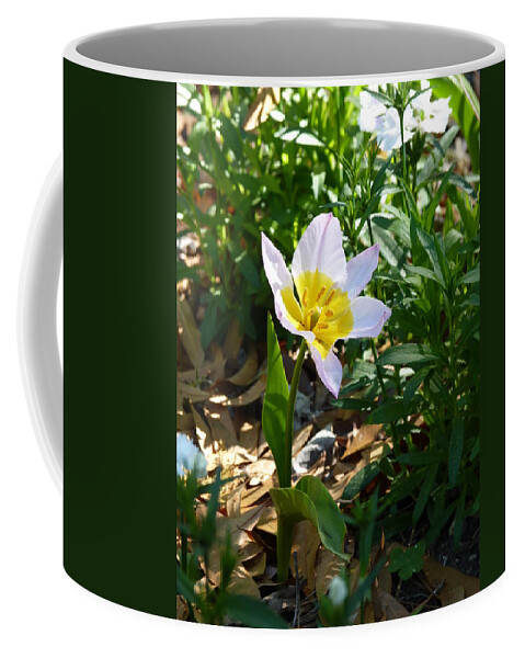 Flower Coffee Mug featuring the photograph Single Flower - Simplify Series by Carla Parris