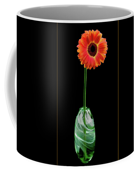Jean Noren Coffee Mug featuring the photograph Single Gerbera by Jean Noren