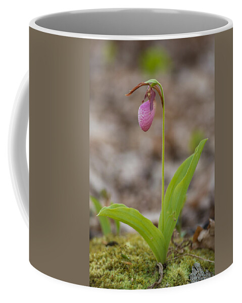 Spring Coffee Mug featuring the photograph Single by Joye Ardyn Durham