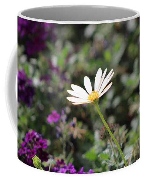 California Desert Coffee Mug featuring the photograph Single White Daisy on Purple by Colleen Cornelius
