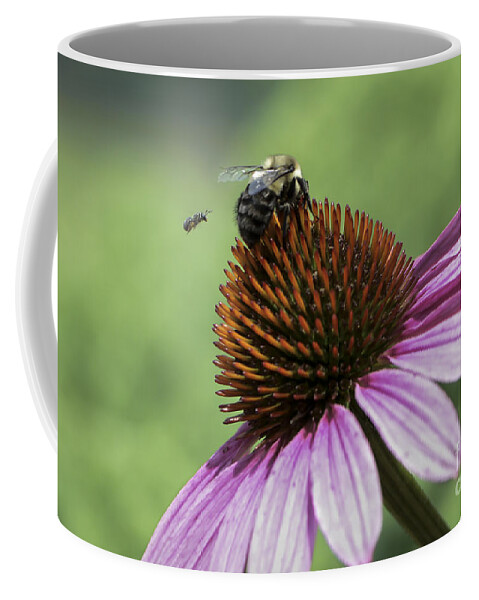 Bee Coffee Mug featuring the photograph Size Matters by Andrea Silies