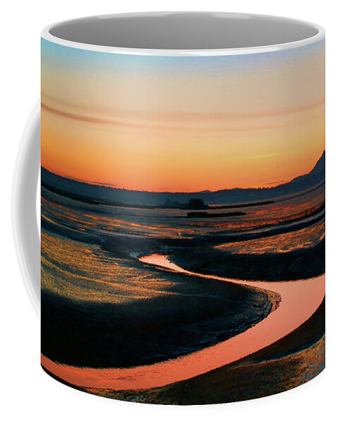 Skagit Coffee Mug featuring the photograph Skagit Flats by Tim Dussault