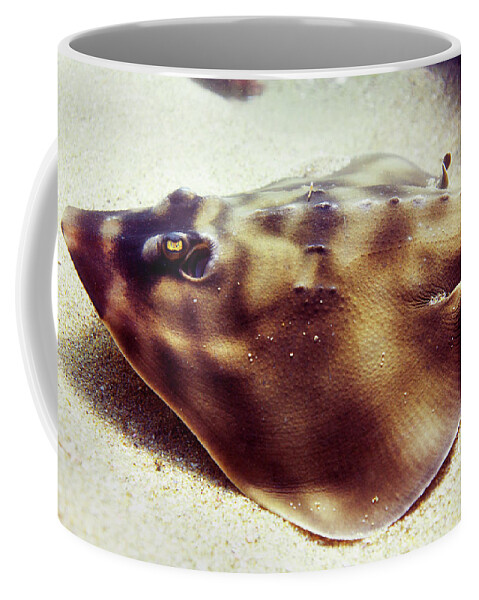Skate Coffee Mug featuring the photograph Skate by Anthony Jones