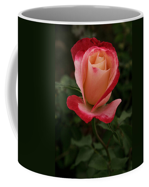 Fresh Coffee Mug featuring the photograph SKC 0435 Nature's Color Shading by Sunil Kapadia