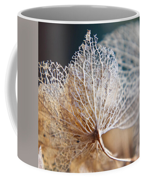 Adria Trail Coffee Mug featuring the photograph Skeleton by Adria Trail