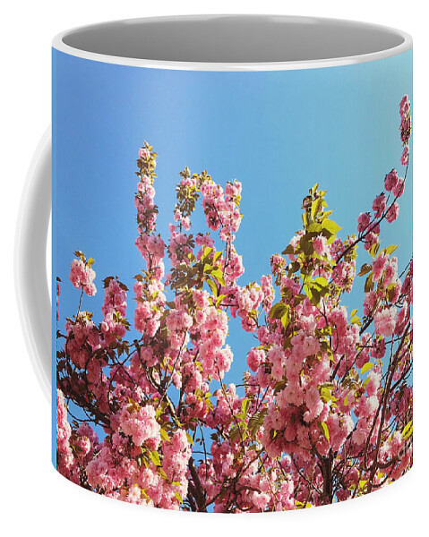 Cherry Blossoms Coffee Mug featuring the photograph Sky Blooms by Onedayoneimage Photography