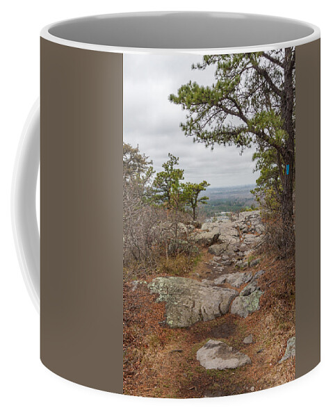 Landscape Coffee Mug featuring the photograph Skyline Trail Blue Hills Reservation by Brian MacLean