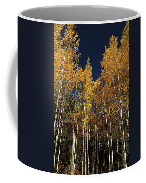 Landscape Coffee Mug featuring the photograph Skyward Aspens by Ron Cline
