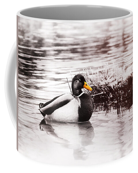 Duck Coffee Mug featuring the photograph Sleeping Duck by Jaroslav Buna