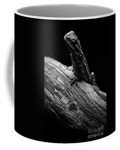 Royal Coffee Mug featuring the photograph Sleeping Lizard by FineArtRoyal Joshua Mimbs