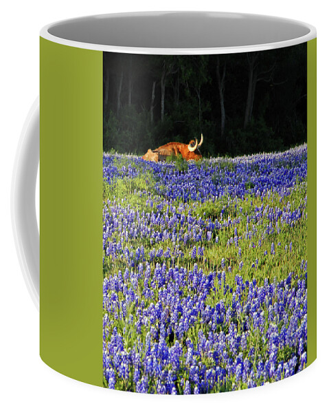 Cow Coffee Mug featuring the photograph Sleeping Longhorn in Bluebonnet Field by Ted Keller