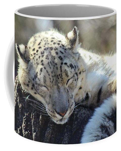 Snow Leopard Coffee Mug featuring the photograph Sleeping Snow Leopard by Holly Ross