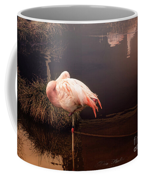 Photoshop Coffee Mug featuring the photograph Sleepy Flamingo by Melissa Messick