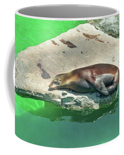 Animal Coffee Mug featuring the photograph Sleepy Sea Lion Resting On A Rock by Tom Potter