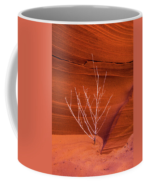Slot Canyon Coffee Mug featuring the photograph Slot Canyon Sentinel by Lon Dittrick