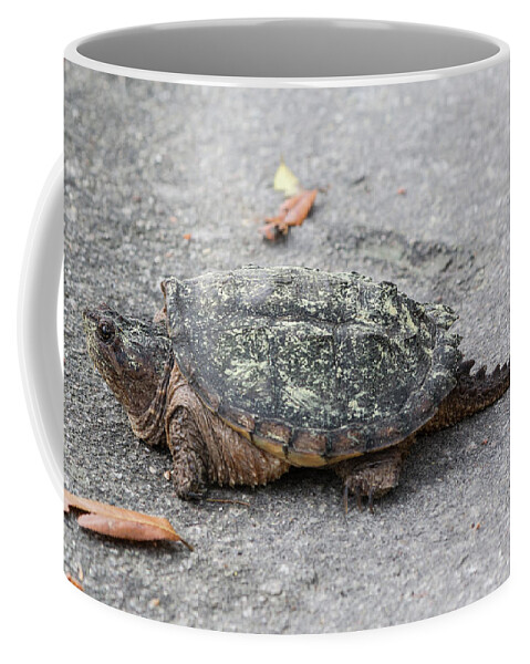 Turtle Coffee Mug featuring the photograph Slow Crossing 3 March 2018 by D K Wall