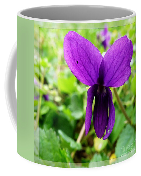 Violet Coffee Mug featuring the photograph Small Violet Flower by Jean Bernard Roussilhe