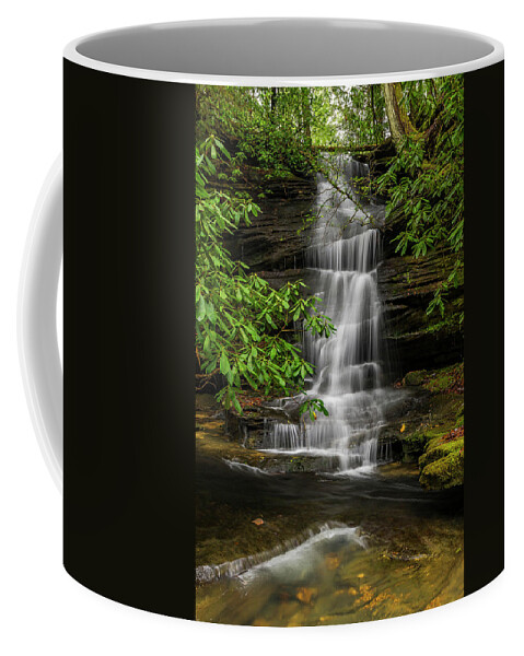 2017-01-15 Coffee Mug featuring the photograph Small waterfalls in the forest. by Ulrich Burkhalter