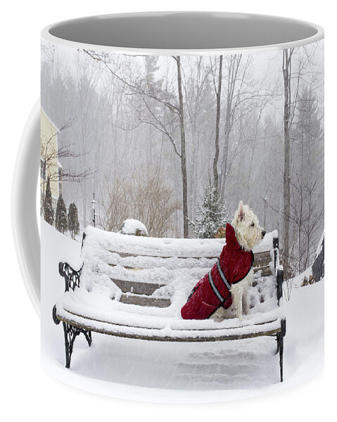 Dog Coffee Mug featuring the photograph Small White Dog in Snow Storm on Bench by Edward Fielding