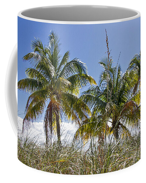 Tropical Coffee Mug featuring the photograph Smathers Palms in Key West by Bob Slitzan