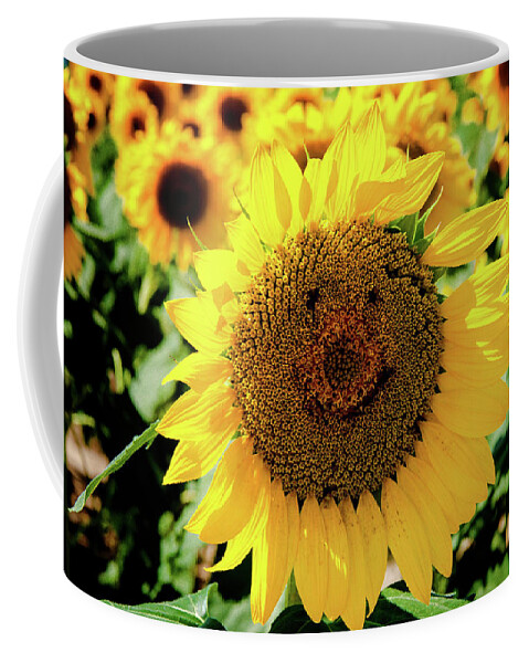 Farm Coffee Mug featuring the photograph Smile by Greg Fortier