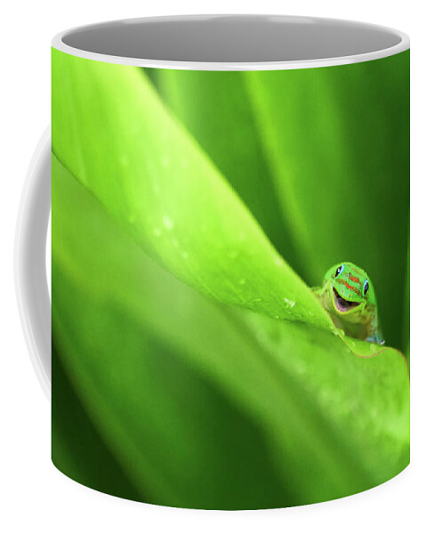Gecko Coffee Mug featuring the photograph Smiling Gecko by Christopher Johnson