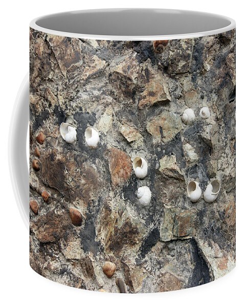 Abstract Coffee Mug featuring the photograph Snail shells in the wall by Michal Boubin