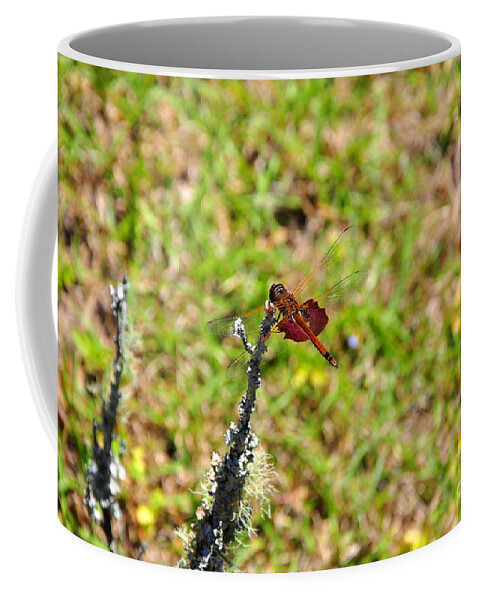 Red Saddlebags Dragonfly Coffee Mug featuring the photograph Shimmering Saddlebags by Al Powell Photography USA